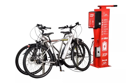 Stacja ładowania i naprawy rowerów SŁNR-1.1.07 Lion Box stal ocynkowana galwanicznie malowana proszkowo RAL